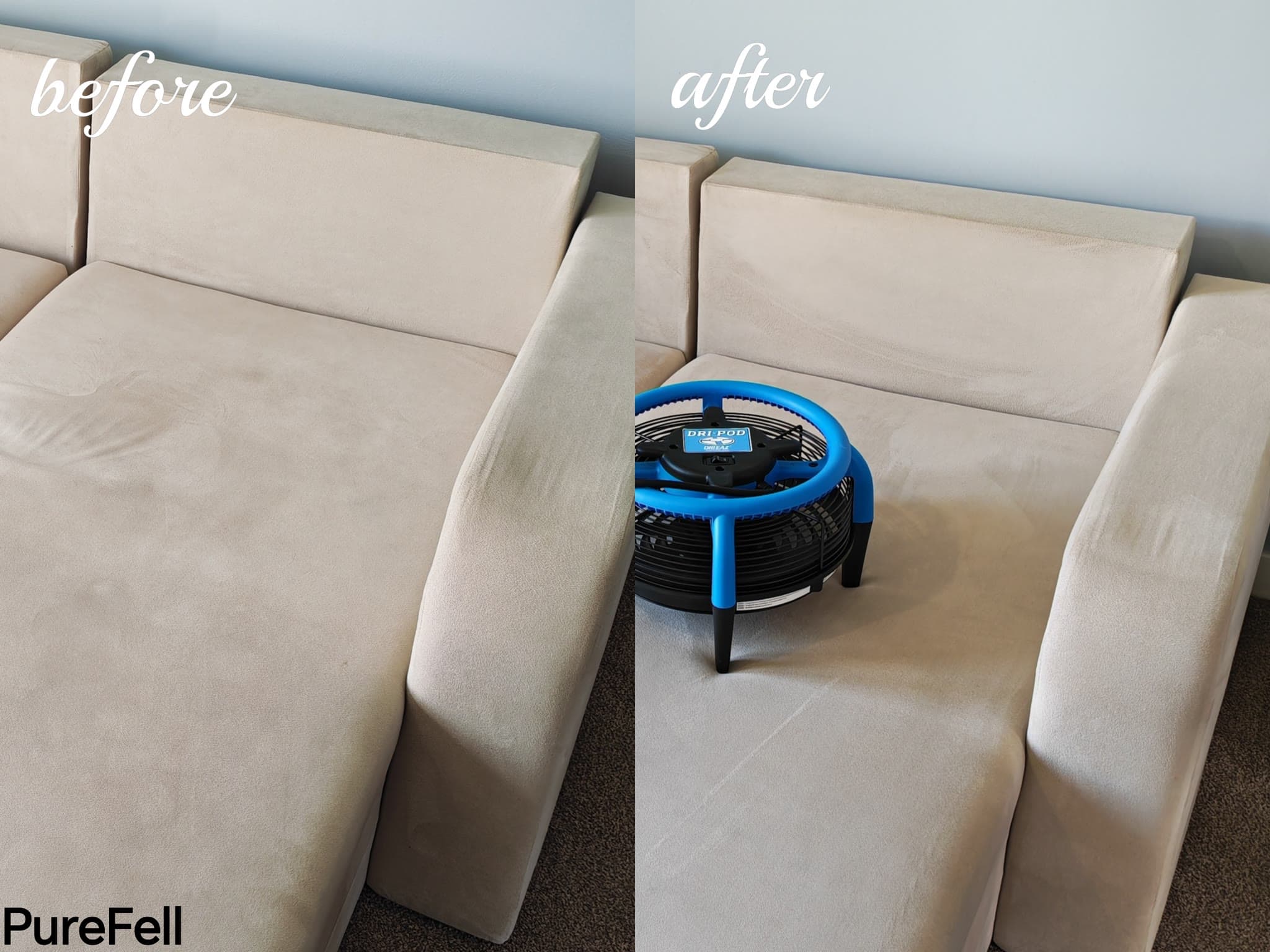 Before and after of a carpet cleaned by PureFell